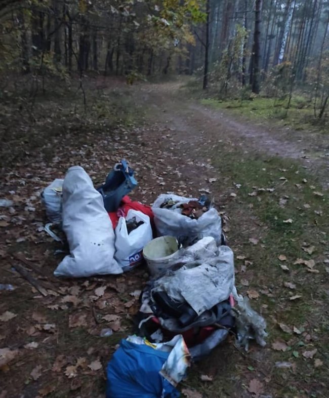 Волинянка із сім'єю прибирає сміття в лісі та пропонує запустити челендж