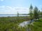 Не Світязем єдиним: на Шацьких озерах облаштують нову зону відпочинку