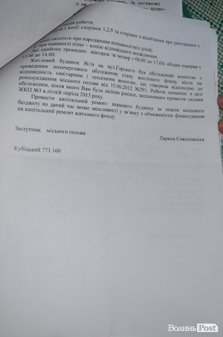 Протест по-луцьки: помиї - під стіни мерії. ФОТО