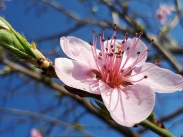 Погода в Луцьку та Волинській області на вівторок, 20 квітня