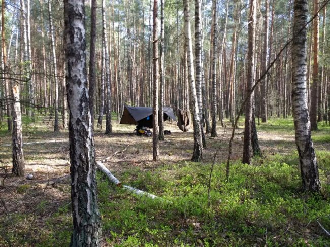 «Автомобілі їдуть повільніше, ніж я йду», – голландський мандрівник про волинські дороги. ФОТО