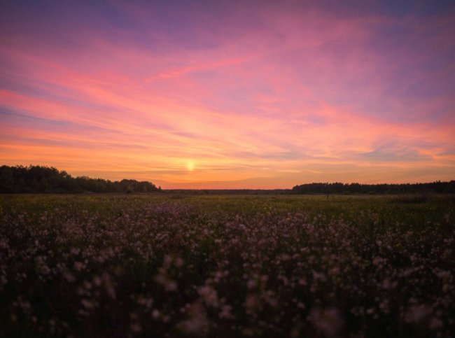 Краса, яка захоплює душу: дивовижні краєвиди Волині. ФОТО