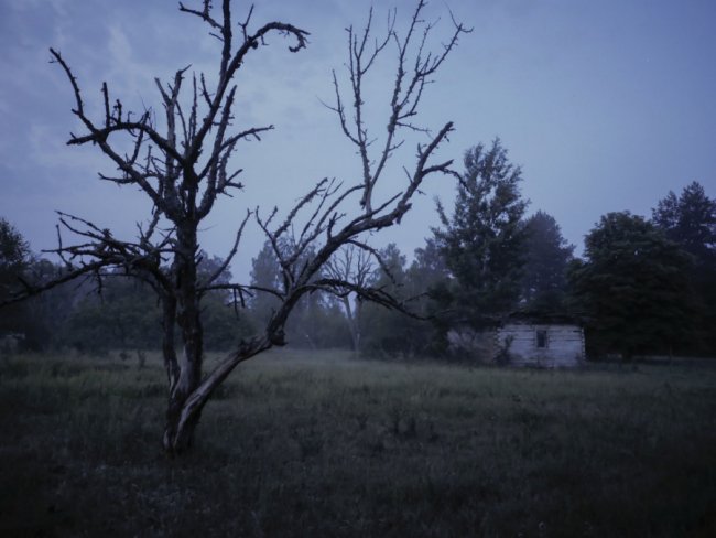 Краса, яка захоплює душу: дивовижні краєвиди Волині. ФОТО