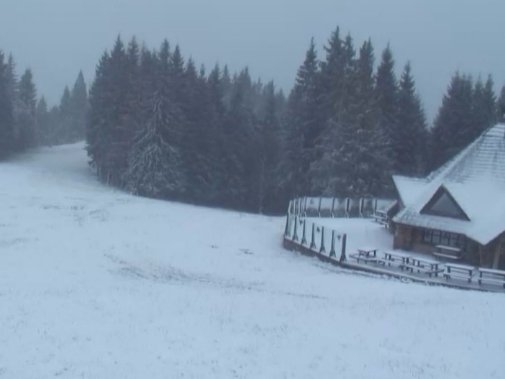 Буковель засипало снігом. ФОТО. ВІДЕО