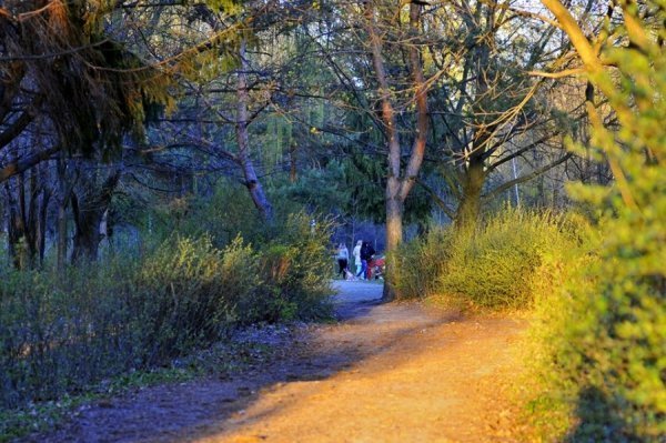 Луцьк цвіте та пахне. ФОТО