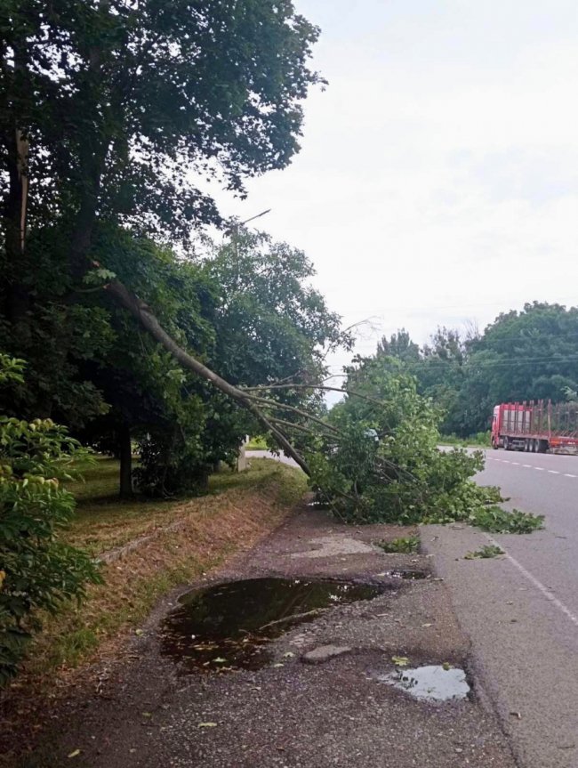 У місті на Волині ліквідовують наслідки негоди. ФОТО