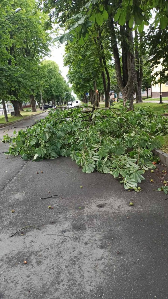 У місті на Волині ліквідовують наслідки негоди. ФОТО