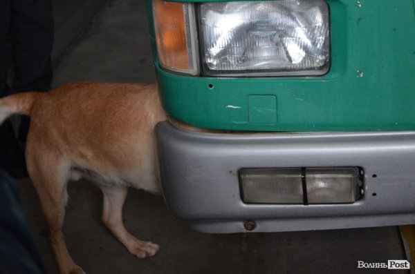 Ротацію митниці провели на 50%, - новий начальник Ягодинської митниці