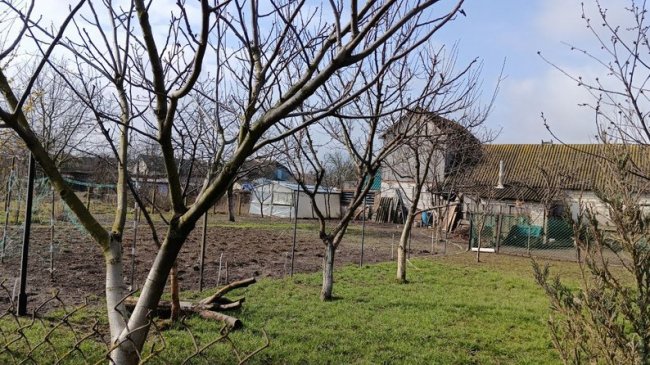 Садок мешканки села Любитів Наталії Солодовник, куди вона відкачує воду з підвалу.