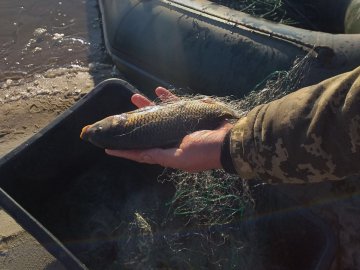 У Шацькому районі затримали трьох браконьєрів, що ловили рибу сітками. ФОТО