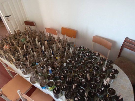 Про «знамениті плащі з Лукова», або Історія волонтерства однієї волинської громади