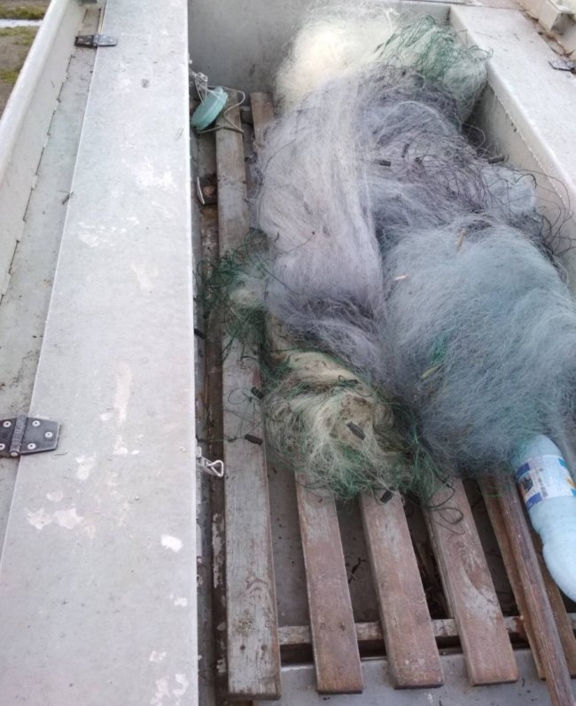 На Волині браконьєри втекли, залишивши рибу в сітках. ФОТО