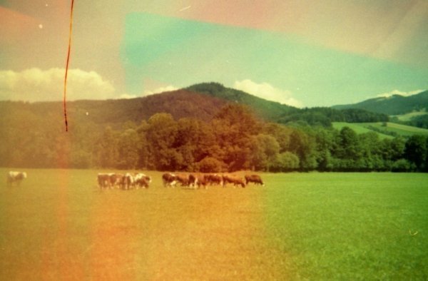 Фотовиставка Юлії Ткаченко