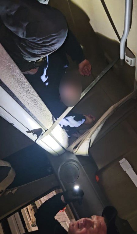 Сховався у спальному відсіку вантажівки: у «Ягодині» виявили чоловіка, який хотів перетнути кордон