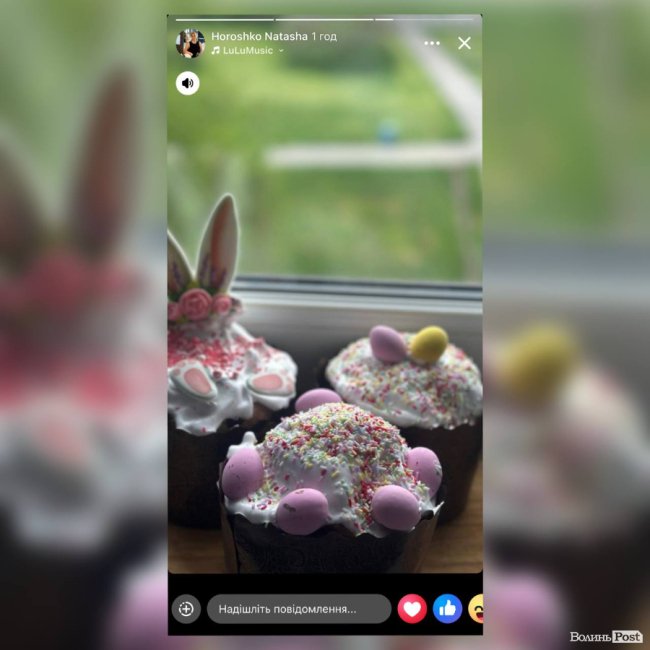 Наталія Горошко — працівниця поліції 