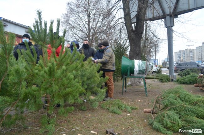 У Луцьку тривають рейди на ялинкових ринках. ПЕРШІ РЕЗУЛЬТАТИ