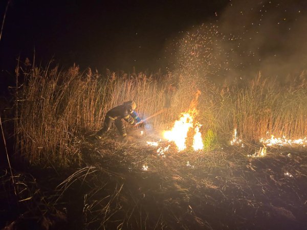 На Волині горіли суха трава та сміття