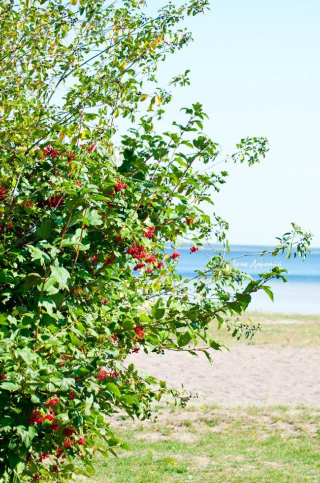 «Змілілий, але затишний», –  лучанка про осінній Світязь. ФОТО