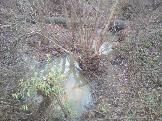 Змінила колір і смердить жомом: у Луцьку річка Жидувка потерпає від стоків цукрового заводу