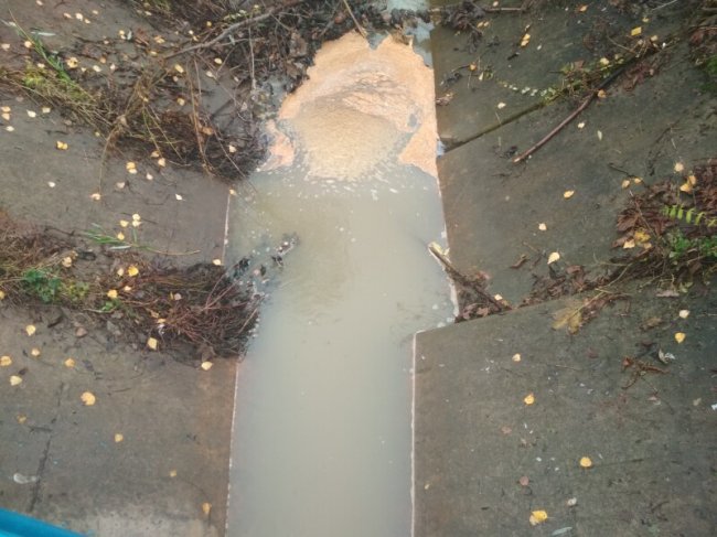 Змінила колір і смердить жомом: у Луцьку річка Жидувка потерпає від стоків цукрового заводу