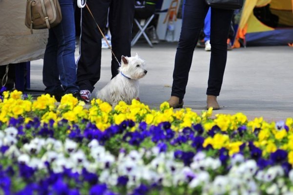Луцьк спортивний. ФОТО