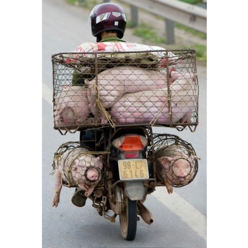 Російська «гуманітарка»: реакція соцмереж. ФОТОЖАБИ