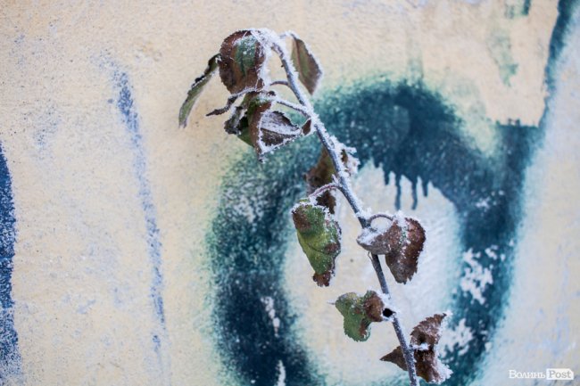 Луцьк – у кришталевій паморозі: казкові світлини різдвяного ранку. ФОТО