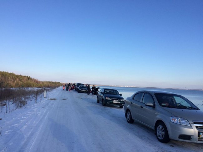 Туристична родзинка на Рівненщині: сотні лебедів зимують на озері. ФОТО