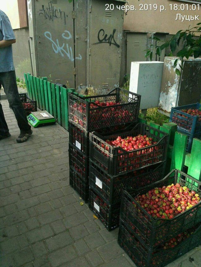 У Луцьку «накрили» продавців, що торгували на тротуарі