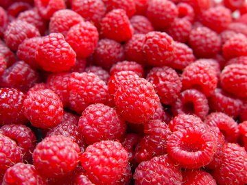 Волинським фермерам невигідно займатися малиною