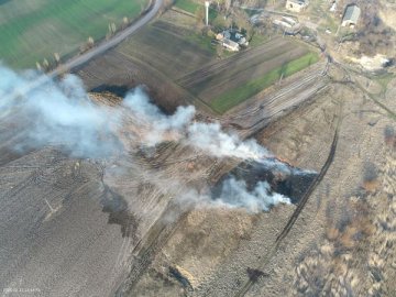 На Волині горіла суха трава