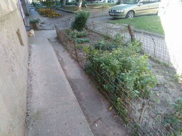 Знесли паркани на ДПЗ у Луцьку. ФОТО