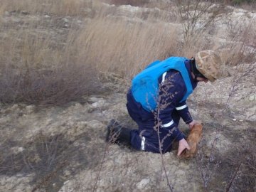 На Волині сапери знешкодили 5 авіаційних бомб