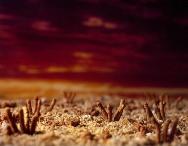 Як перетворити сніданок на пейзаж. ФОТО