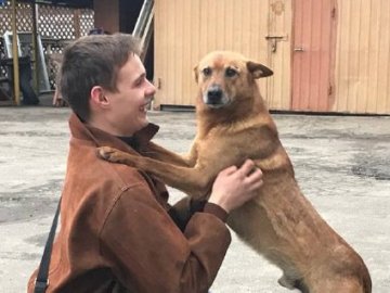 У Луцьку з глибокої ями врятували чотирилапого охоронця філармонії, який злякався салютів