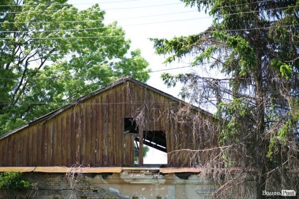 Хата всихає разом із деревом