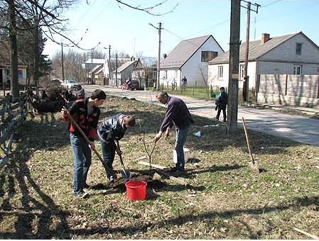 Під Луцьком озеленюють райцентр. ФОТО. ВІДЕО
