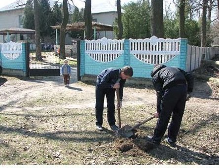 Під Луцьком озеленюють райцентр. ФОТО. ВІДЕО