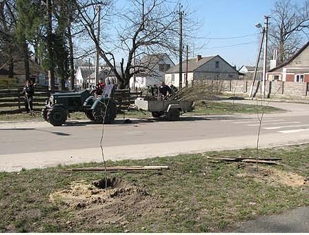 Під Луцьком озеленюють райцентр. ФОТО. ВІДЕО