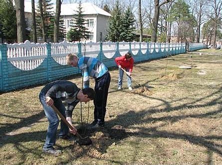 Під Луцьком озеленюють райцентр. ФОТО. ВІДЕО