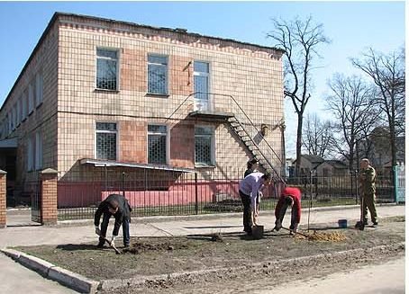 Під Луцьком озеленюють райцентр. ФОТО. ВІДЕО