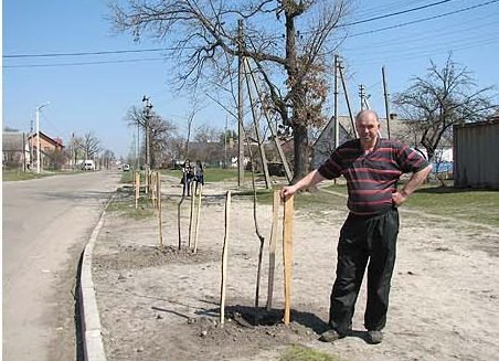 Під Луцьком озеленюють райцентр. ФОТО. ВІДЕО