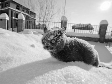 Погода в Луцьку та Волинській області на четвер, 10 січня