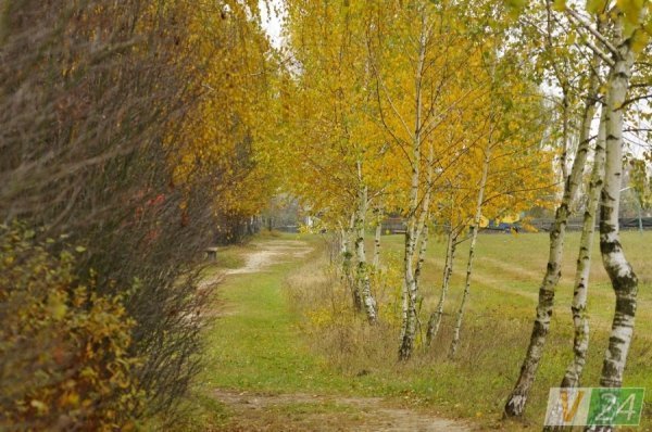 Луцький фотограф показав красу осені в музеї-скансені