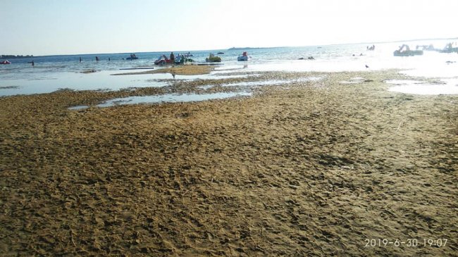 «Людський фактор – найбільший чинник катастрофи», – волинянка про обмілілий Світязь