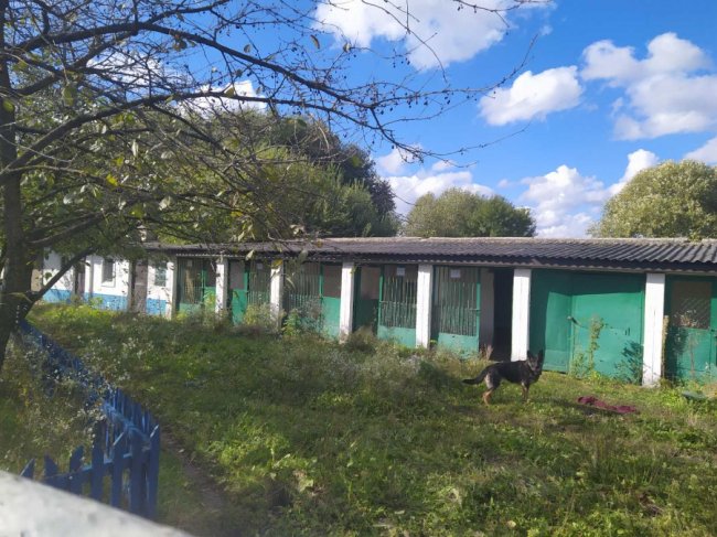 На Волині за 42 мільйони продають виховну колонію. ФОТО