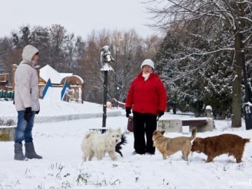 Медики оголосили українцям, як вдягатися у снігопади. ВІДЕО