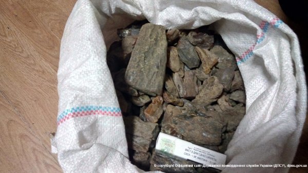 З початку року співробітники Держприкордонслужби виявили понад 420 кг бурштину. ФОТО. ВІДЕО