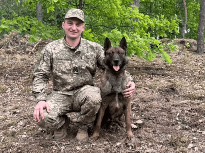 Як волинський прикордонник та його пес Ігнес охороняють кордон з Білоруссю