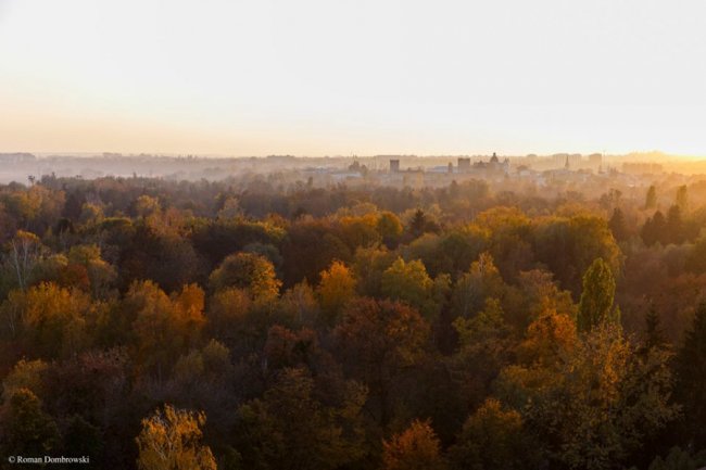 Осінній вечір у Луцьку: зворушливе фото